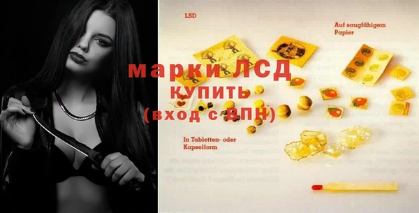 гидра Арсеньев